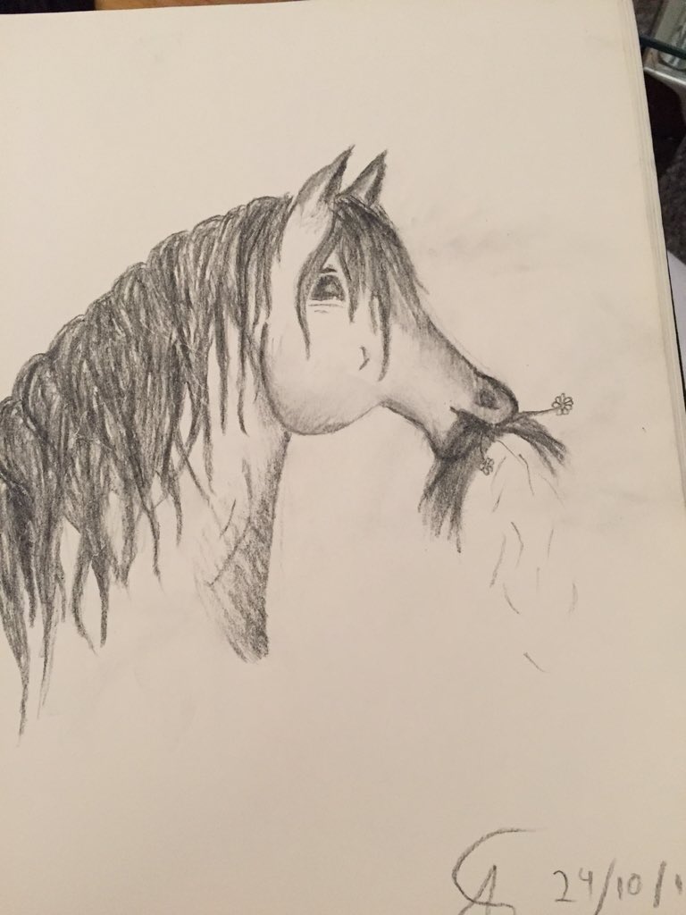 AmandaFrehr's tweet photo. #drawing #drawings ✏️ https://t.co/IFQwfItnHG