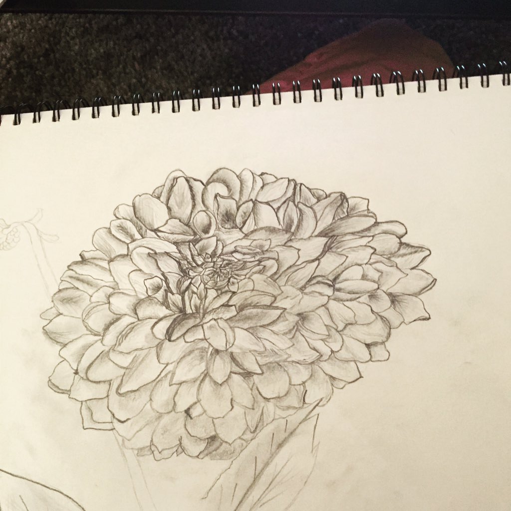 AmandaFrehr's tweet photo. #drawing #drawings ✏️ https://t.co/IFQwfItnHG