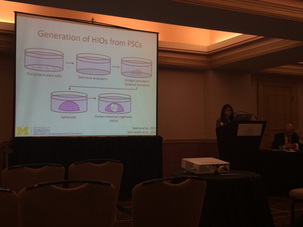 not just HSR at this conference. great talk on breakthroughs in enteroids by Priya Dedhia, MD,PhD #asc2016 #science