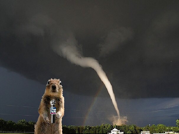 USCSquirrel's tweet photo. Reporting live - had to evacuate horseshoe, but Russell chefs fed us well!! All is clear! Go play in the rain homies https://t.co/FkGys6J39c