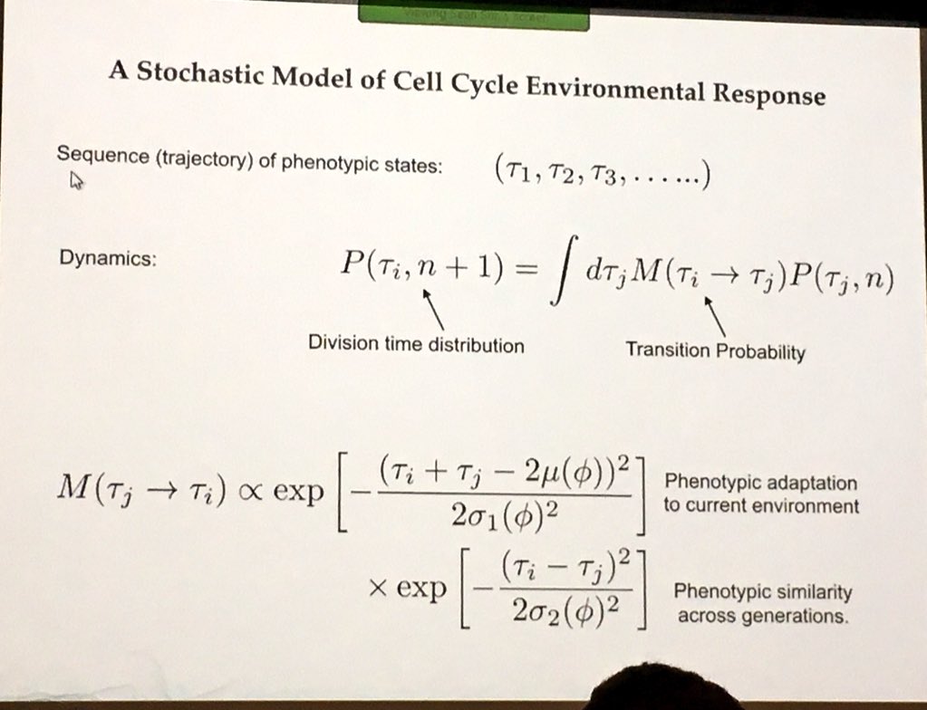 ara_anderson's tweet photo. Sun shows the stochastic model of cell cycle environment response #PSON2016 https://t.co/5MILpxDNBE