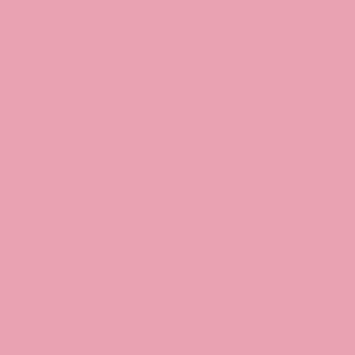 Every Pantone Color on Twitter: "Pantone 494-c rgb(233,162,178) hsl(346
