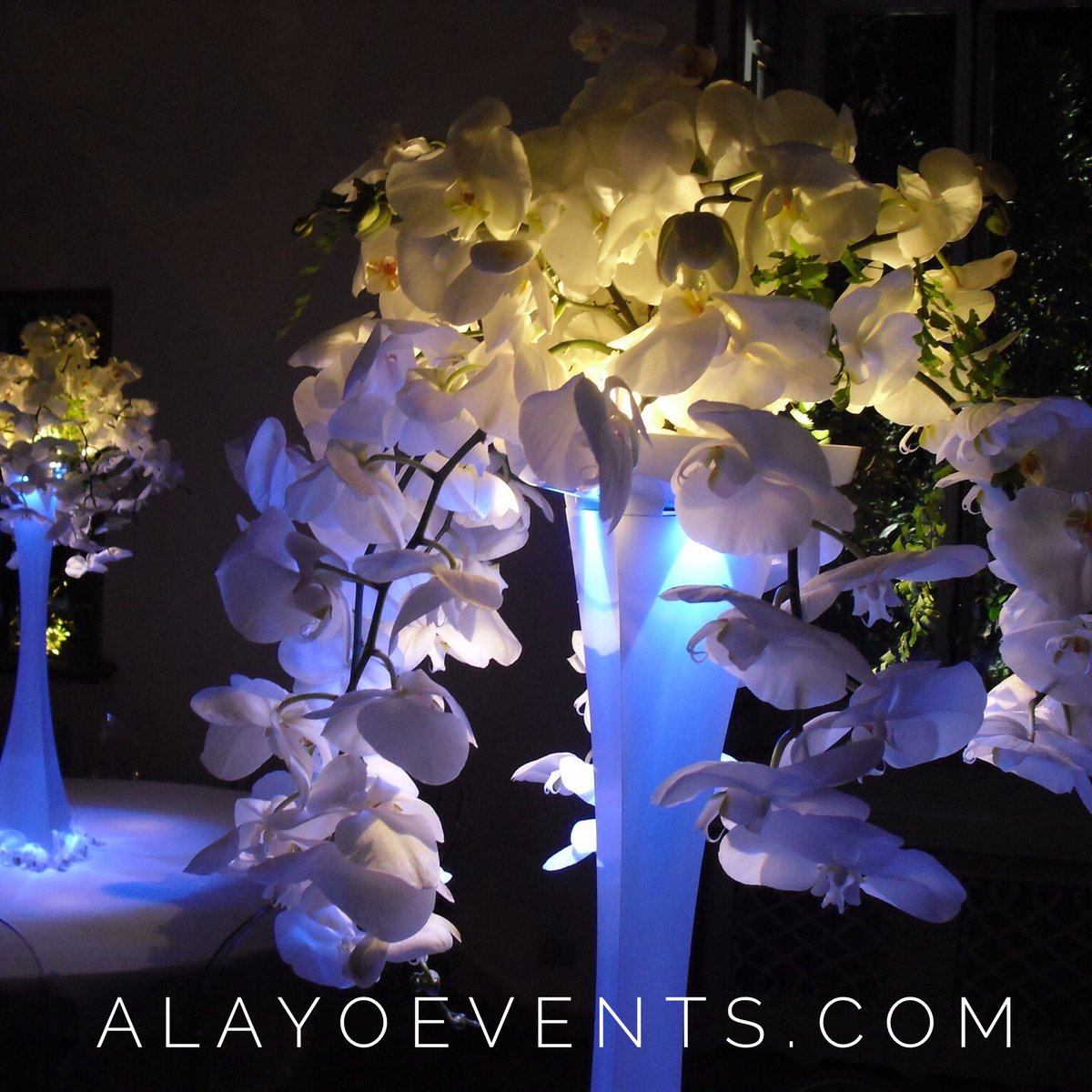 alayoevents's tweet photo. #tall or #short ? #light up or #plain ? #centerpiece options are #endless .
#details #wedding #alayoevents https://t.co/AKNBKTRPug