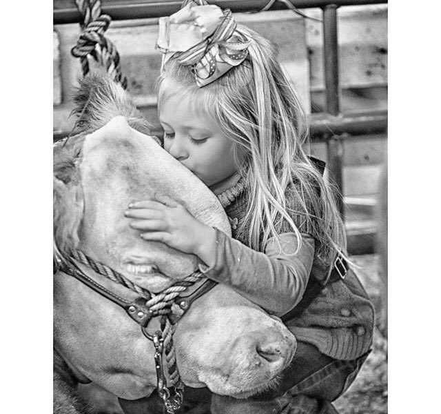StockShowFlow's tweet photo. I want my kids to love livestock as much as I do https://t.co/jSvydw0pCt