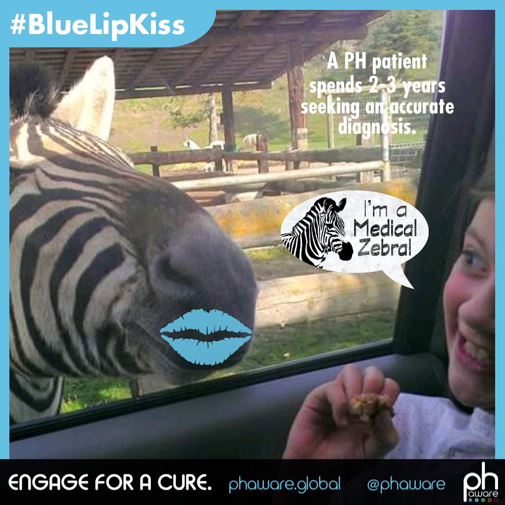 phaware's tweet photo. It's our first bonafide #medicalzebra shot on the #phaware365 app! Engage for a cure at https://t.co/FP2u1oryXD https://t.co/C4yDBgwjb5