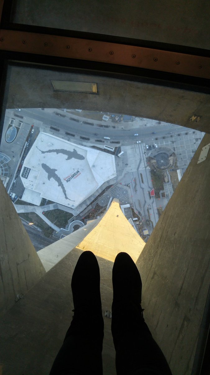 mlatoronto's tweet photo. Fear of heights...not us! #cntower #veryhighup #torontolandmarks https://t.co/TjGqxFilPW