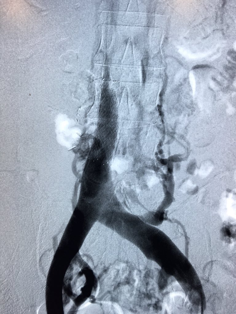 Kush Desai tweet media