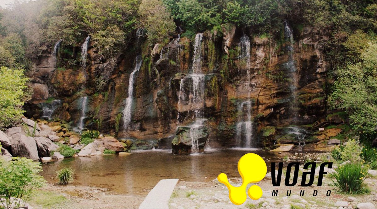 VOAFMUNDO's tweet photo. Se viene #7Cascadas 2016 #VOAFMundo #Egresados #SpringBreak https://t.co/YceeewAXMQ