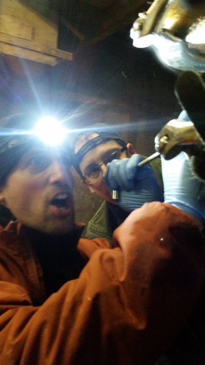 marie_tsa's tweet photo. ... qu'est ce que t'as vue @JustinRDMV @Dave__Bernier ??? # rapage https://t.co/l9H0zmWPFI