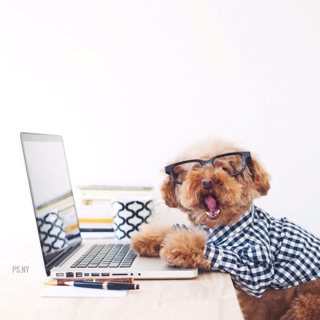 psdotny's tweet image. Have you checked our website yet?  psdotny.com #YouShould @squarespace can help #builditbeautiful #sp