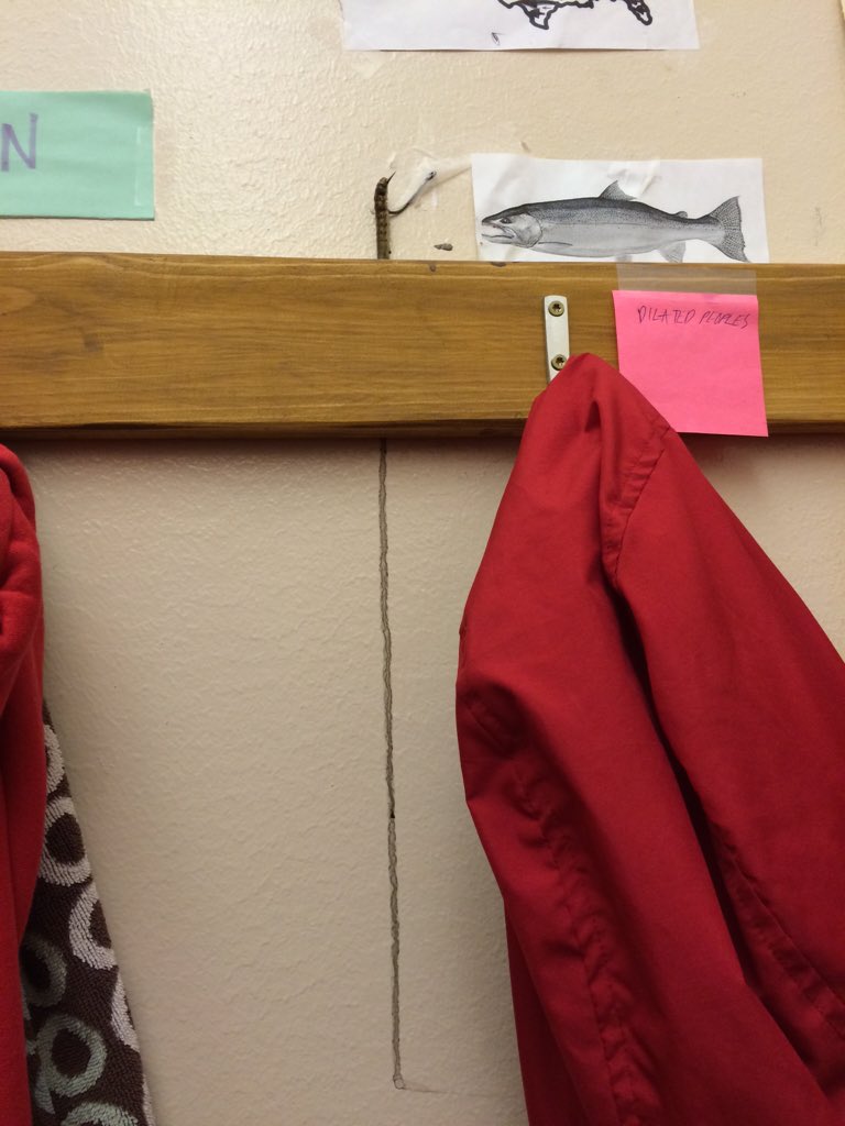 Sf_ymca's tweet photo. You never know what you might find in the pool...and of course we had to hook it! #lifeguardprobs #SFYMCA https://t.co/LI8I4dOxDq