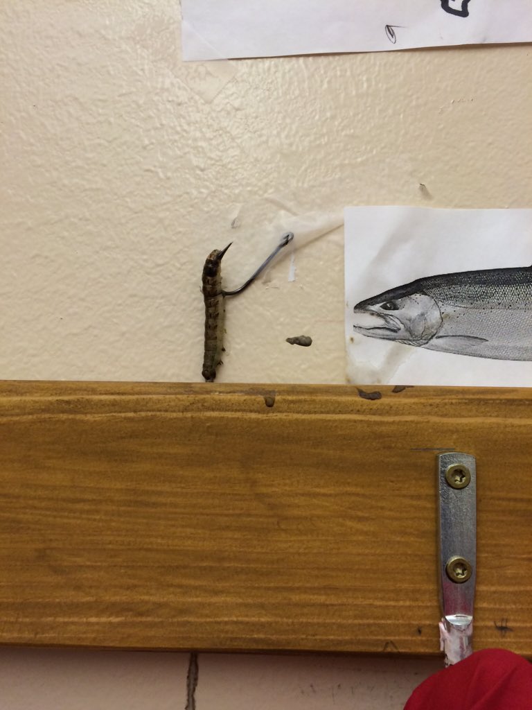 Sf_ymca's tweet photo. You never know what you might find in the pool...and of course we had to hook it! #lifeguardprobs #SFYMCA https://t.co/LI8I4dOxDq