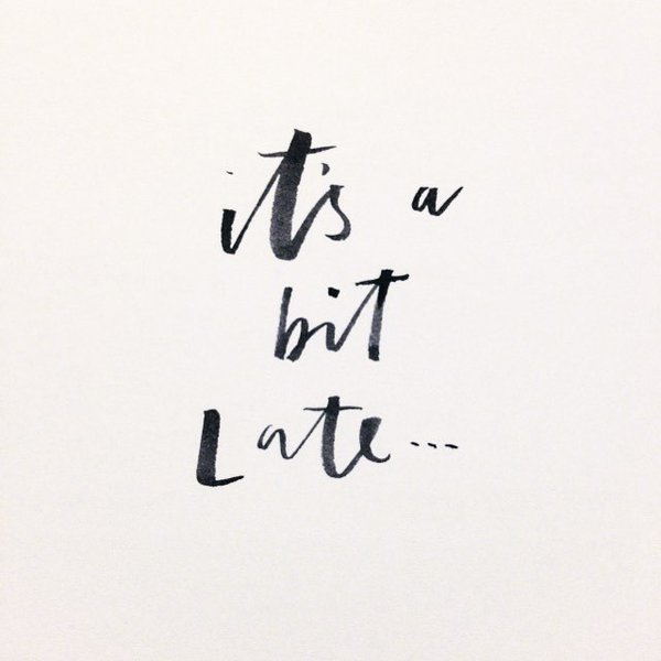 #cute #birds #nature #owllover #bird #owl