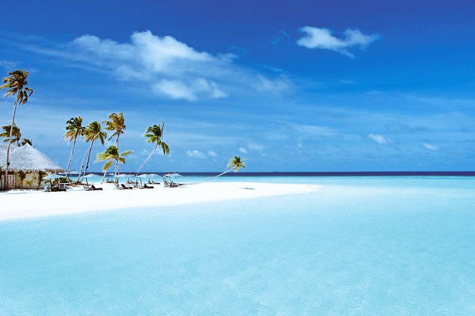 FindmyLovenAsia's tweet photo. Maldives - One of the best Asian romantic destinations.
#Travel #Love #Dating #Asia #FindMyLoveInAsia https://t.co/I5JTwFBo2I