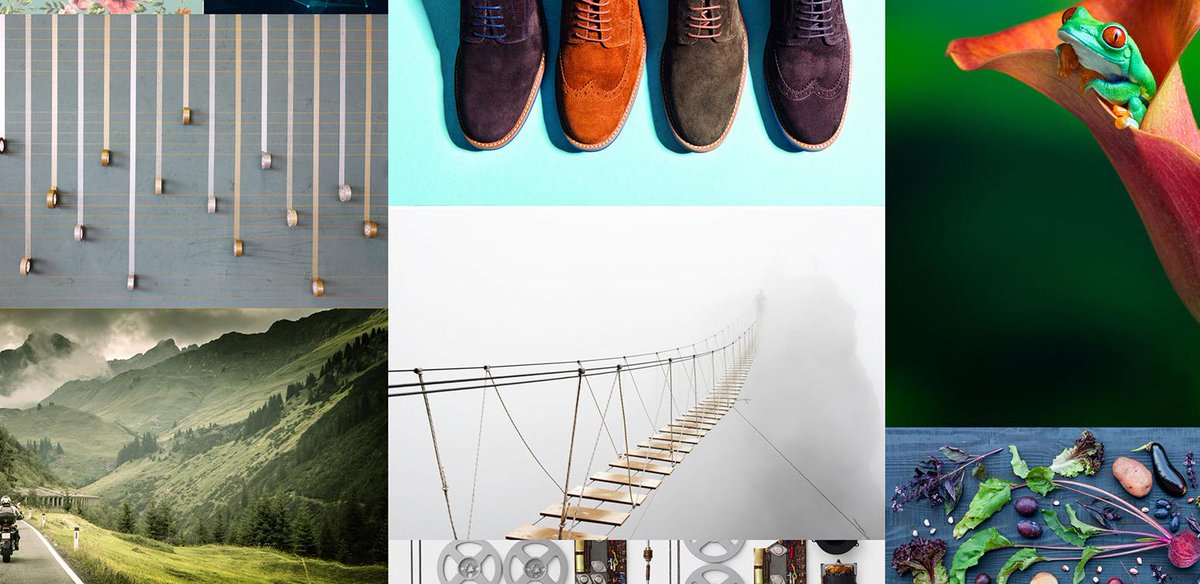 socialmedia2day's tweet photo. .@Shutterstock's released their 2016 trends report, outlining the most popular visual trends https://t.co/rtxwaQBjJ3 https://t.co/NWOOMsTf7K
