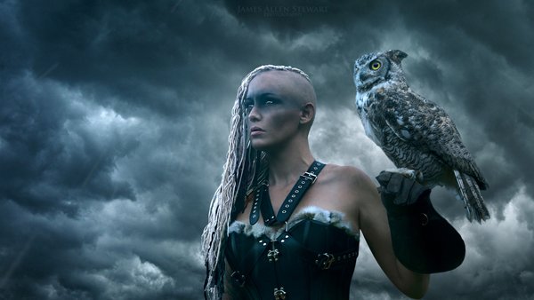 #owl #nature #bird #cute