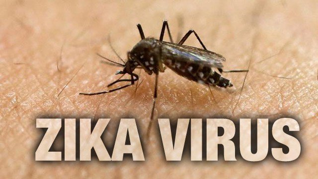 ChattanoogaRR's tweet photo. First case of Zika virus confirmed in Georgia https://t.co/b7dCkwuKcl https://t.co/ZZghi8UHuo