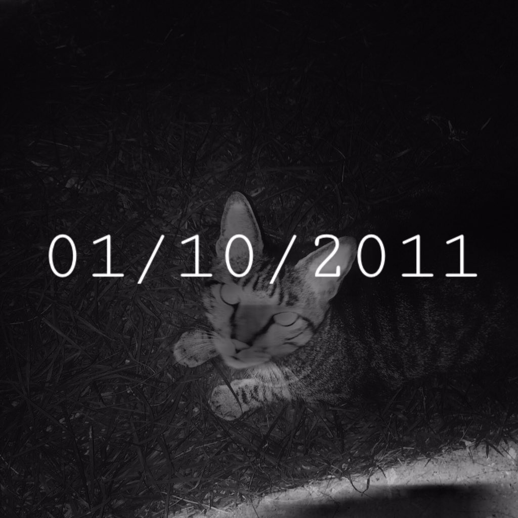 piusanchayne's tweet photo. My date of birth https://t.co/SCRov28msC https://t.co/YGRKVgGwtd