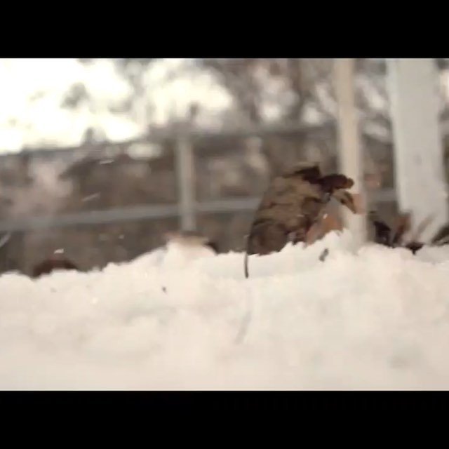 Guide_Hire's tweet image. To the most badass freestyle ski video ever made. 
Story &amp;amp; Video: (link in bio)
#guidehire | #chronicles | #freesty…