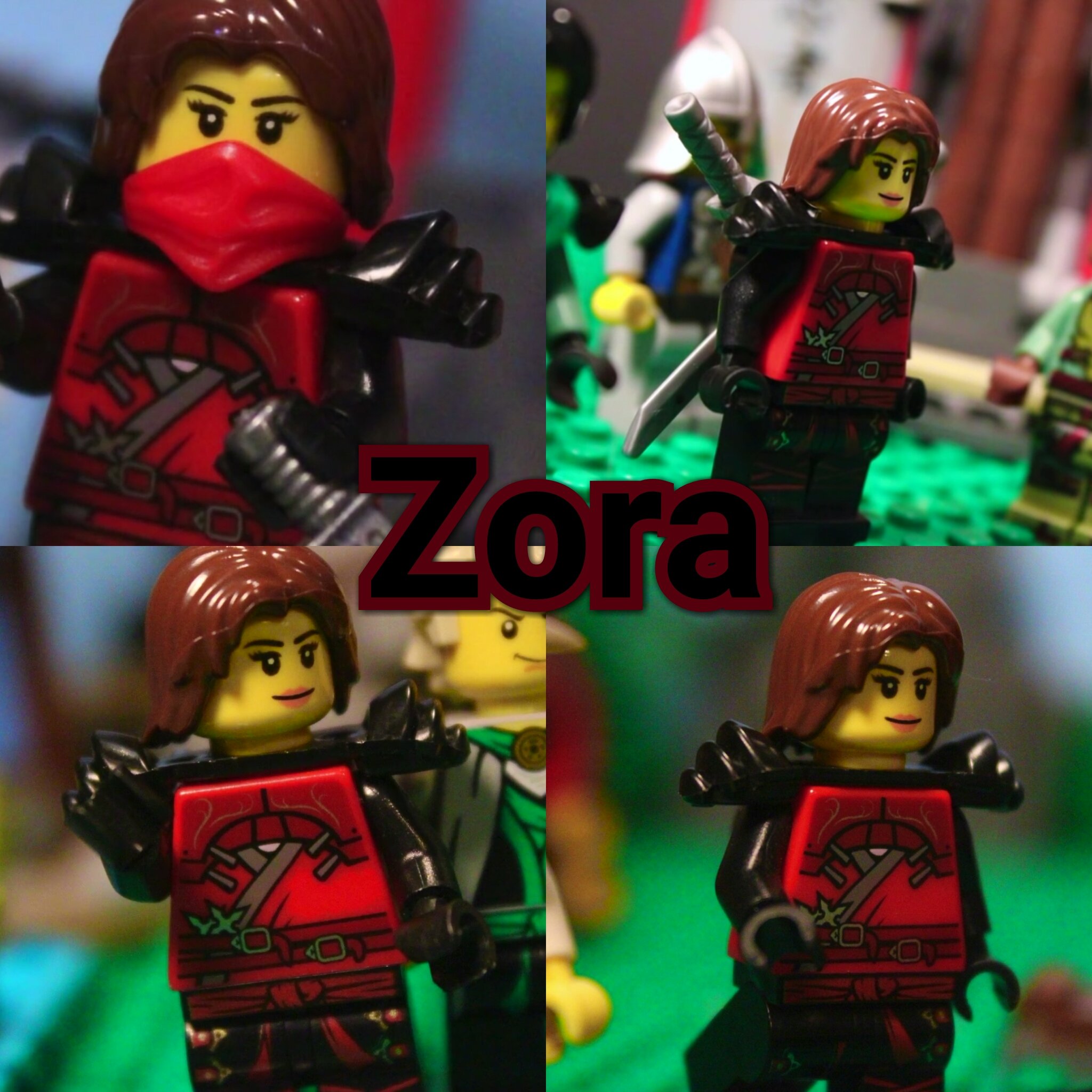 Ninjago master of gravity sale