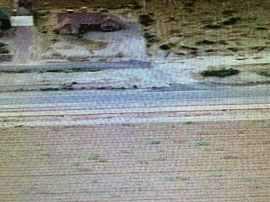 ERIC_WATSON's tweet photo. I think I spotted a Chupacabra. #no_donkey #burro_watch_2016 https://t.co/pJCcxyNjMY