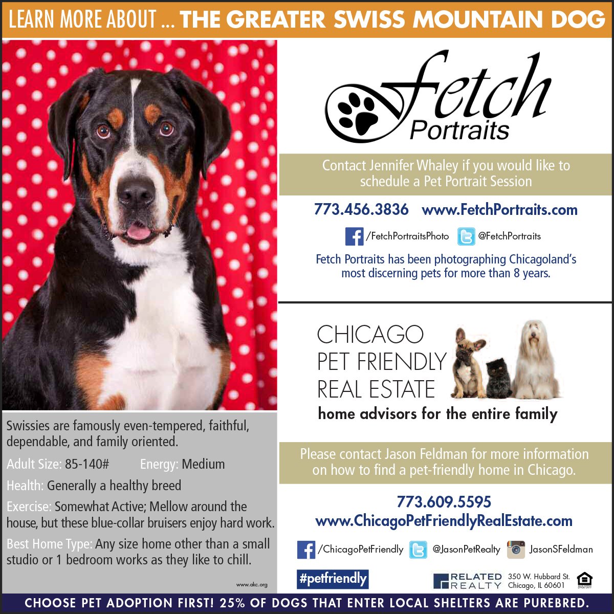 FetchPortraits's tweet photo. #Bigdog? Wanna move to the #city? See @JasonPetRealty for all ur needs! #realestate  #petfriendly #chicagorealestate https://t.co/sMv021s9id