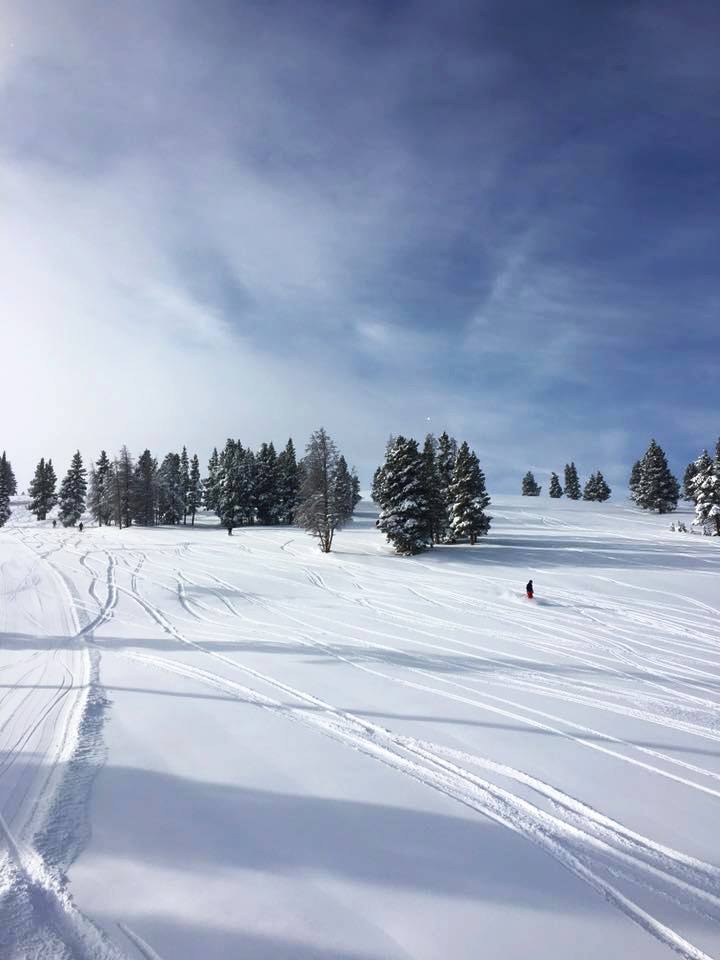 RonByrneVail's tweet photo. 30 Inches in 3 Days... The #Mountains Are Calling! #VailLiving #VailRealEstate #VailMountain https://t.co/AyGfT58Q8q https://t.co/LzKzDAKSJl