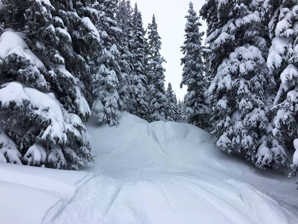 RonByrneVail's tweet photo. 30 Inches in 3 Days... The #Mountains Are Calling! #VailLiving #VailRealEstate #VailMountain https://t.co/AyGfT58Q8q https://t.co/LzKzDAKSJl