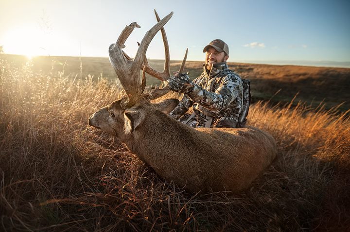 SitkaGear's tweet photo. Where giants roam. #KSDirt

Photo: Tribe Member Dustin Lutt https://t.co/Gha1tFSIZ9
