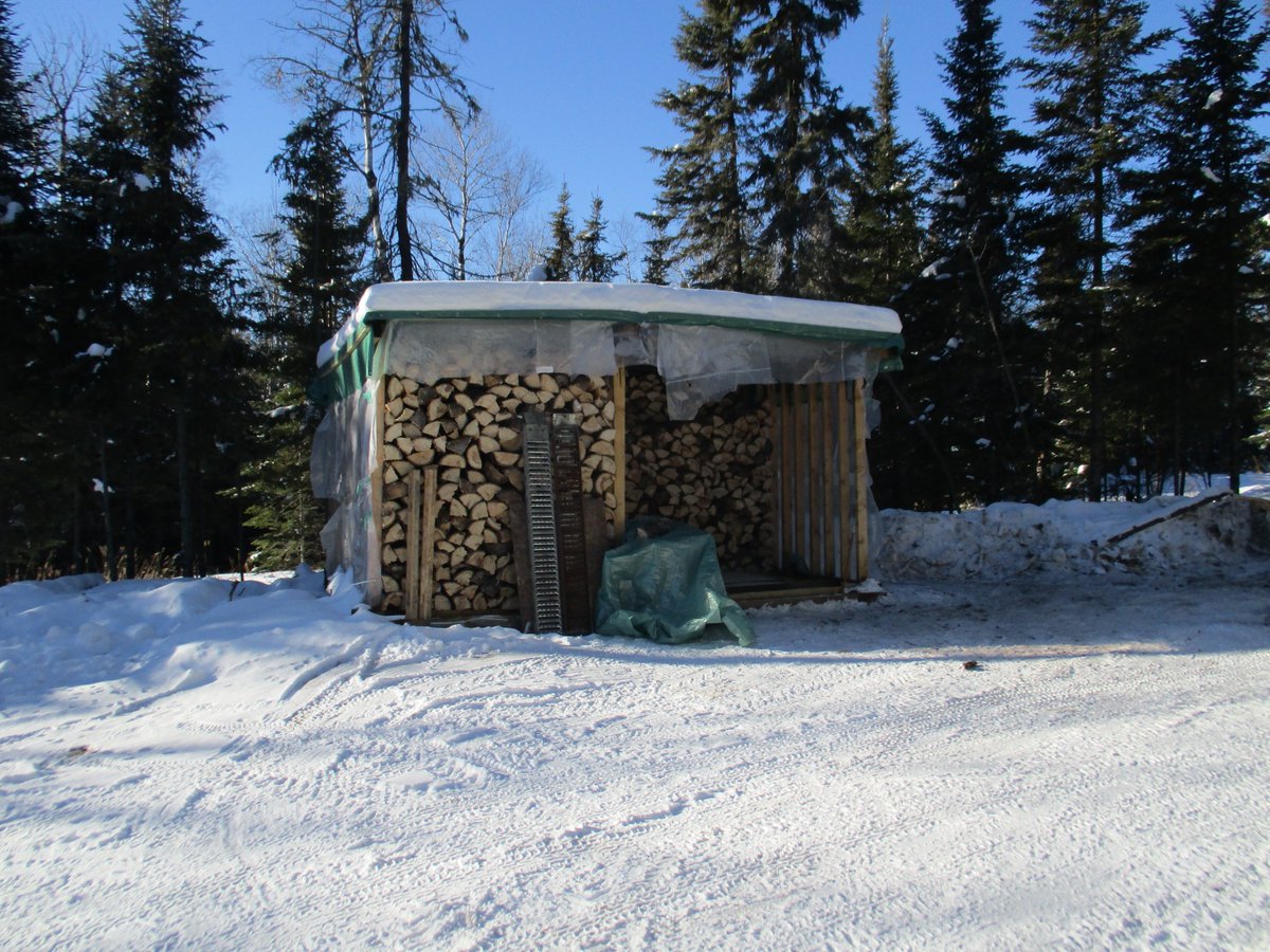 Today with Maggie, at the lake, cutting firewood for next winter.