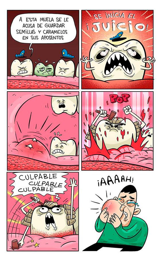 Juicio molar.
covadongabalaguer.es