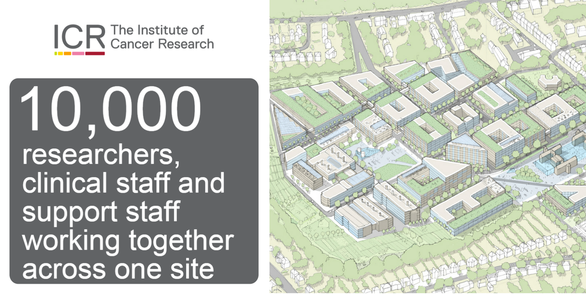 ICR_London's tweet image. Find out more about the new #LondonCancerHub that was announced yesterday #WorldCancerDay buff.ly/1Qc4pGW
