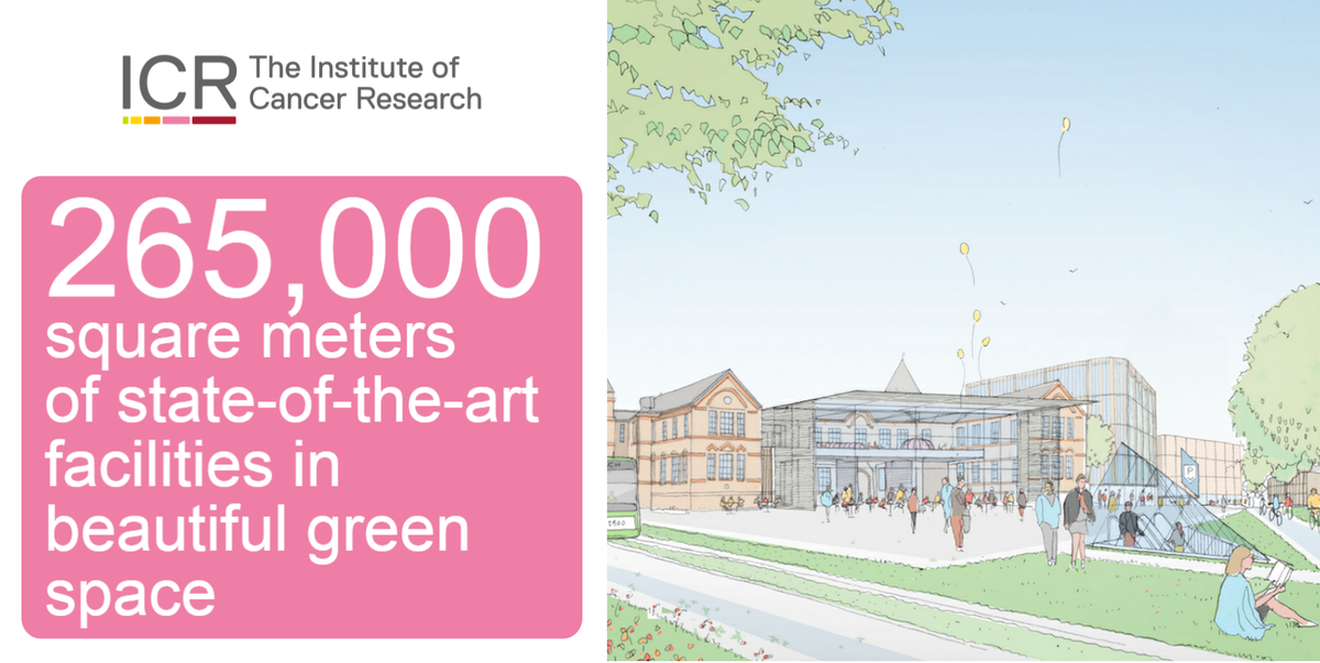 ICR_London's tweet image. Find out more about the new #LondonCancerHub that was announced yesterday #WorldCancerDay buff.ly/1Qc4pGW