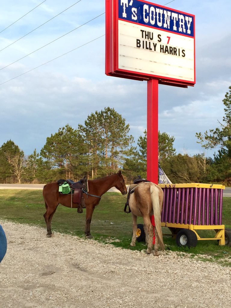 Marie_Laveau's tweet photo. This is how we rolled up to the bar today for a cold one!! #HorsebackRiding #Countrylife #LoveHorses #CountryGirl https://t.co/AYrVpJPl21