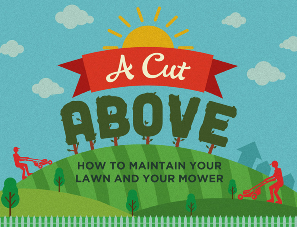 GreenSocksAU's tweet photo. 6 Best Ways to Maintain Your #Lawn #Mower https://t.co/BpH5KuluLM #lawnmowing #mowerrepair #mowing https://t.co/gIeYvaEtjg