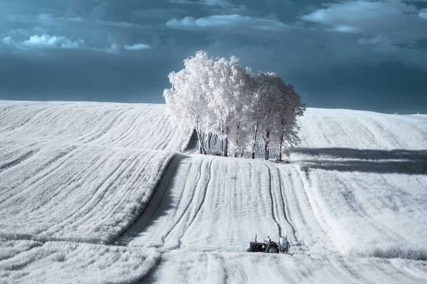 sfulJessy's tweet photo. The Majestic #Beauty Of #Trees In #Poland Captured In Infrared #Photography https://t.co/qMMozpOMCd

#shuffleupon https://t.co/I9TkAjvq4E