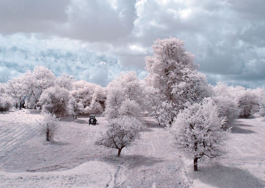 sfulJessy's tweet photo. The Majestic #Beauty Of #Trees In #Poland Captured In Infrared #Photography https://t.co/qMMozpOMCd

#shuffleupon https://t.co/7cMPJECncg