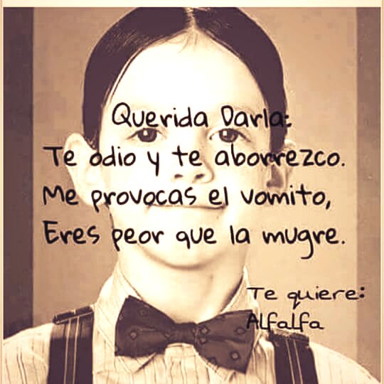 paoulushis45's tweet photo. Lo bueno que si la quería .... #NetaSiYoFueraTu me daba un tiro #alfalfa https://t.co/zNaM4x5bLw