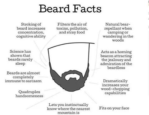 hassamas1m's tweet photo. #BeardFacts #BeardlyAwesome #beardobsession #beardlover #beardgoal 
#Beard https://t.co/JVXYEg4S4v