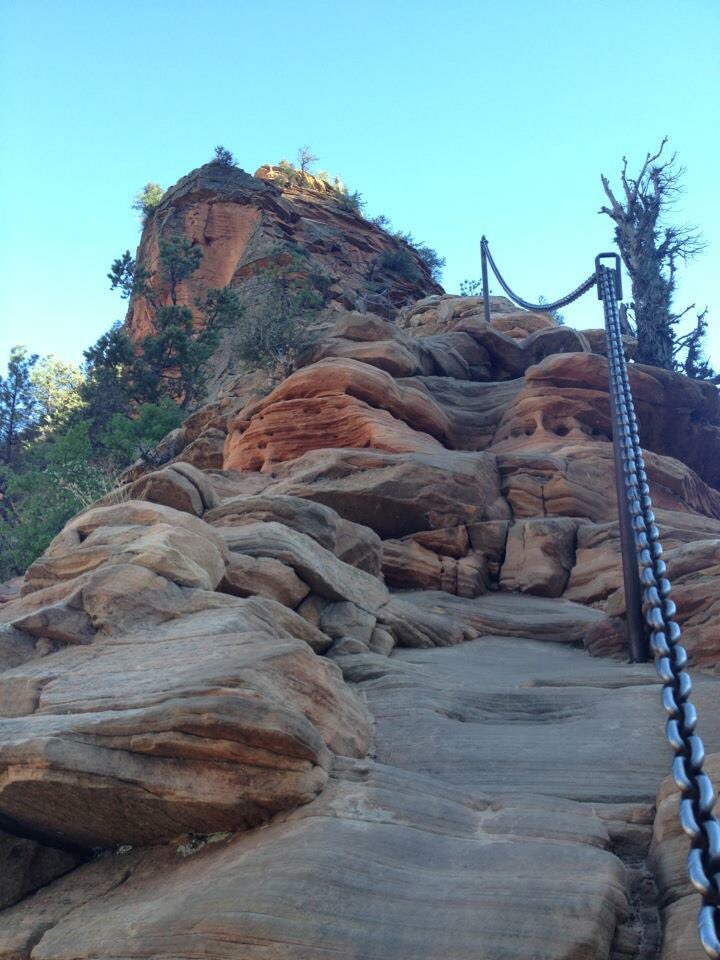 BeingNauArt's tweet photo. #Hiking #zion #angleslanding https://t.co/9o1JvBKAeu
