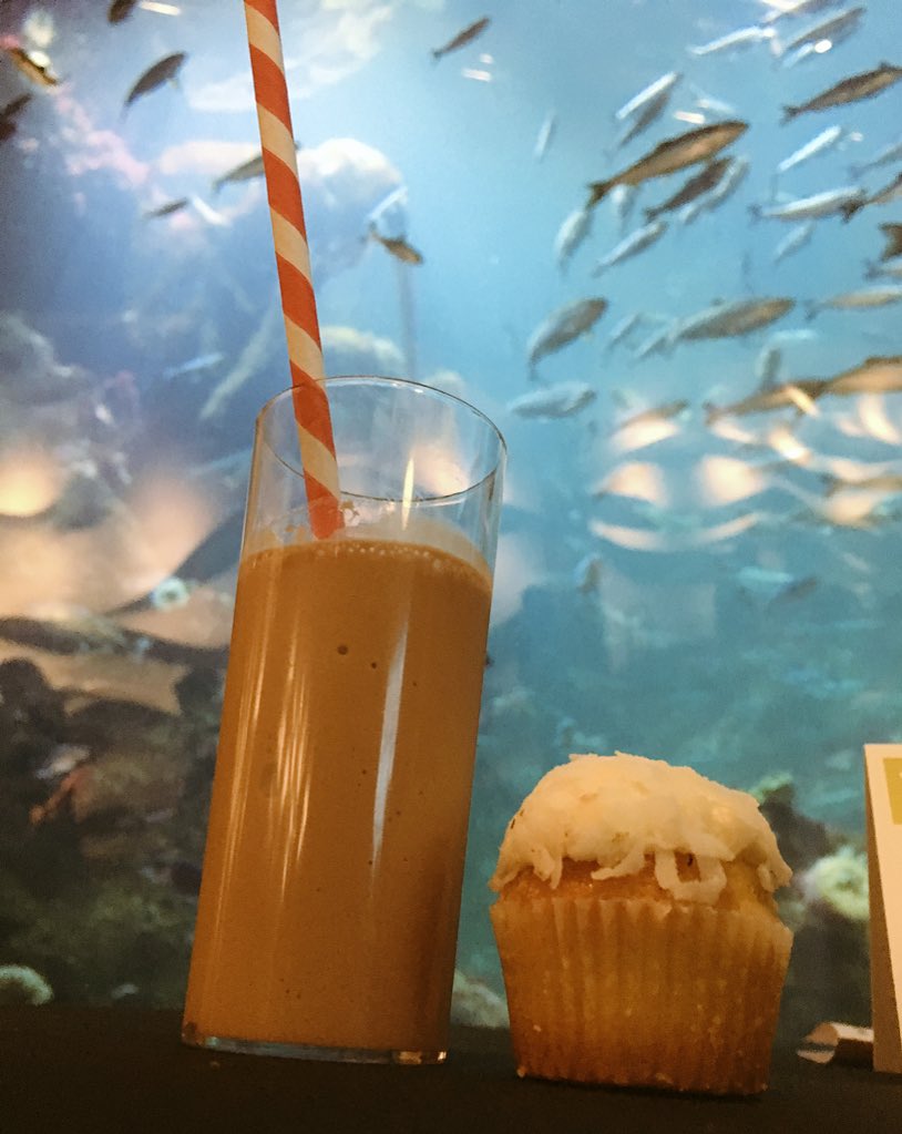 torrezriley's tweet photo. Perfect night cap @SeattleAquarium, adult milkshake by @OnSafariSeattle & coconut lime cupcake by Frosted #RAH2016 https://t.co/cZJ3LFDnUP