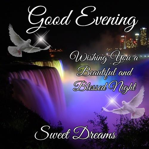 terri_georgia's tweet photo. @NoGOPNo Good Night Sweetness. Got a late start today; then twitter stopped me. Goodnight, Have Sweet Dreams;-) https://t.co/u56FzUwpfV