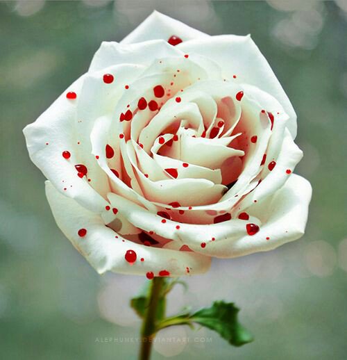 SyedAzhar30's tweet photo. Good morning
@LeskinK 💖 have a nice day https://t.co/r56sdeQrwG