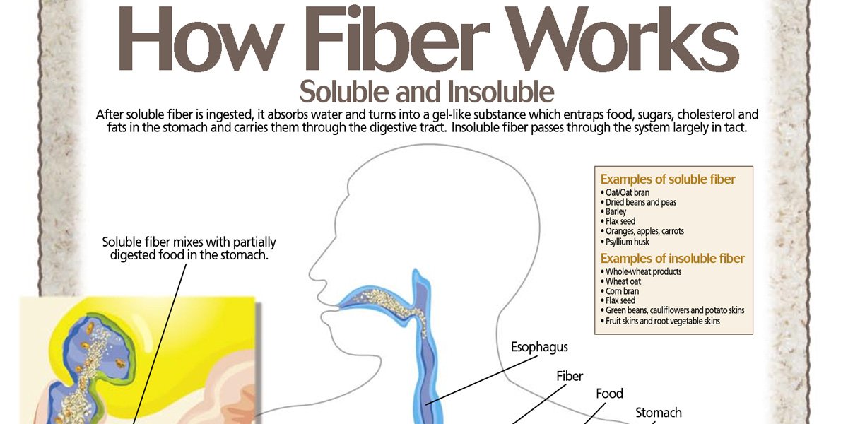 AHealthBlog's tweet photo. How Fiber Works Infographic ➡ https://t.co/VeekP6vqKo https://t.co/7yXXhAMdBn