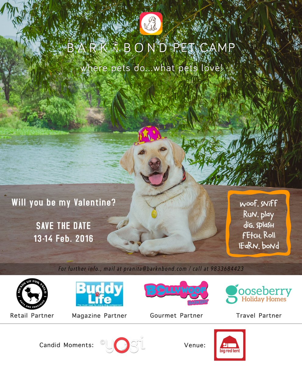 GooseberryHomes's tweet photo. So happy to collaborate with @BarknBond for the next event! Some GooseberryHomes goodies await you there! :) https://t.co/nWnmIRtFAt