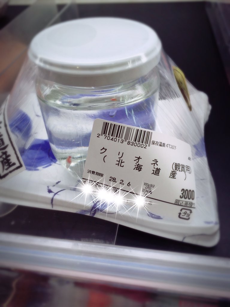 ひ スーパーのお魚売り場でクリオネ 観賞用 売ってた T Co L2lpu4em5k Twitter