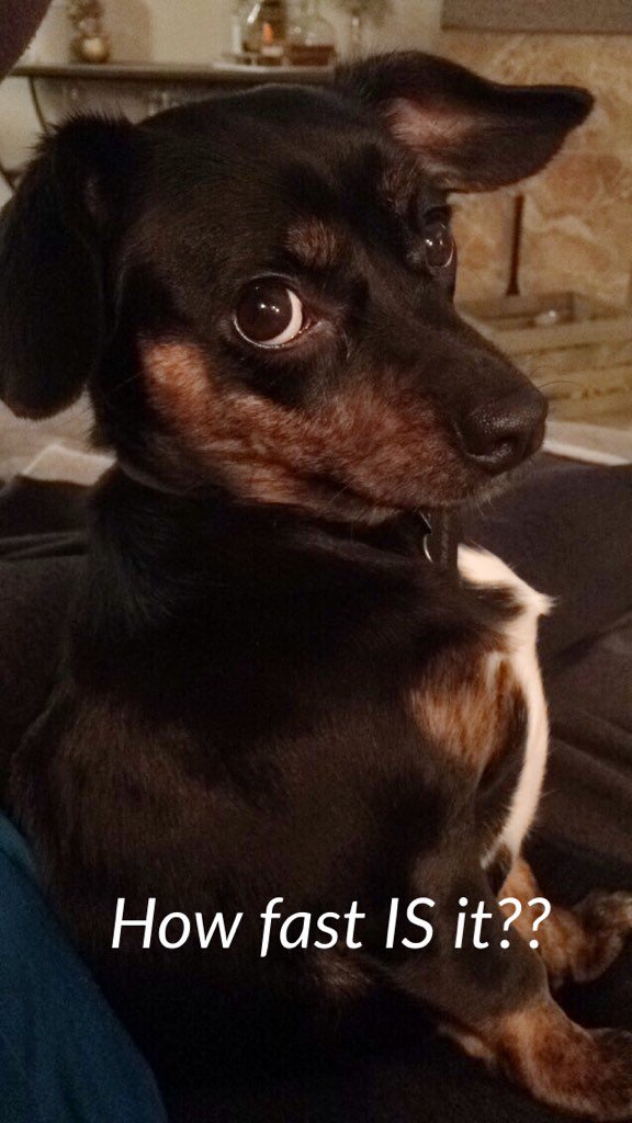 thePonderingPup's tweet photo. There's a speed of light and a speed of sound, but is there a speed of smell? #speedofsmell #marvelponders https://t.co/oT5OiYHgnx