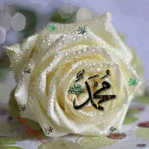 hiam9131's tweet photo. صباح معطر بذكر الصﻻة على
محمد وال محمد https://t.co/Z4WAGX6XeA