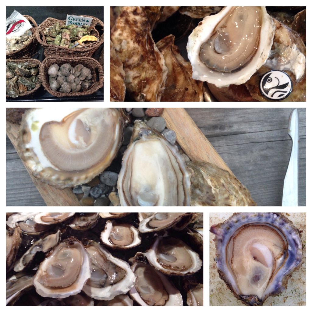 ShuckerPaddy's tweet photo. High protein, low fat, omega3, highest zinc of any food, & OceanSustainable #GetYourShuckOn @seacoreSEAFOOD #Pier87 https://t.co/wOIpKpHHbn