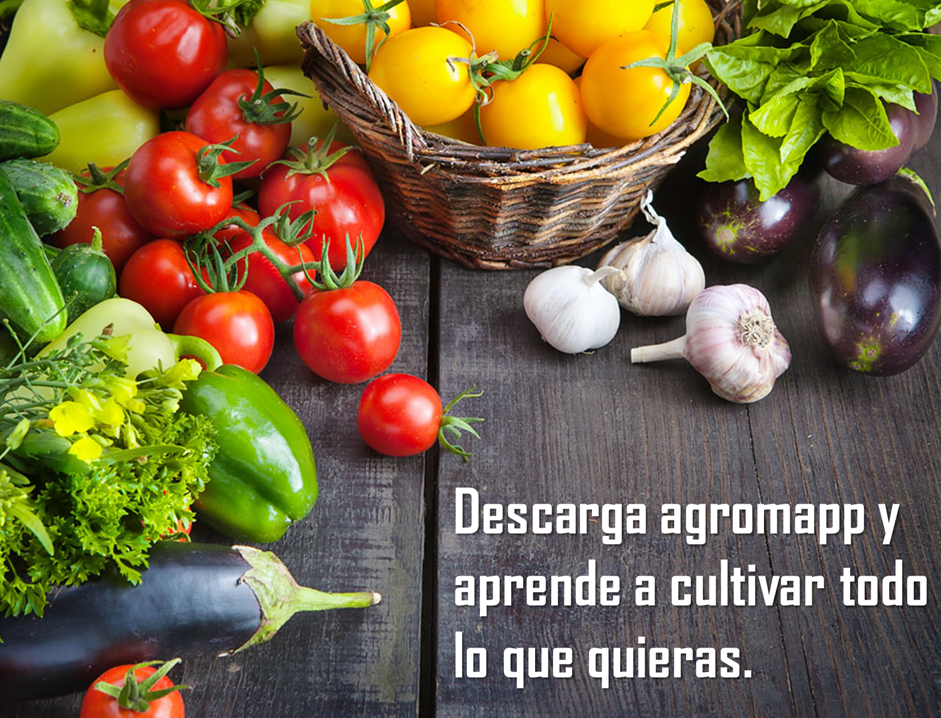 agromapp's tweet photo. https://t.co/M2opV4LE9u https://t.co/hN7R0cTOaC